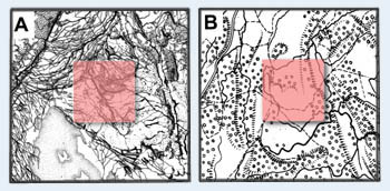 The Maximal Graphic      Density of 1 cm2