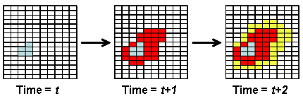 Principle of contagious expansion diffusion at successive moments of time                             