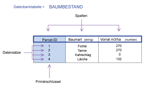 Abb. B: Struktur einer Tabelle