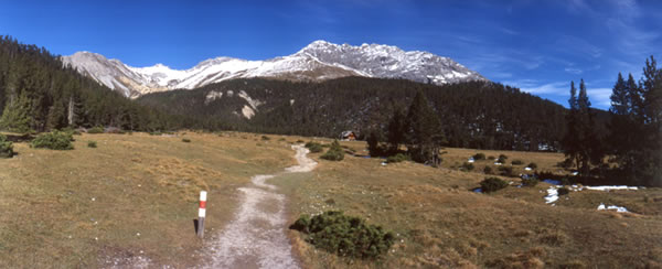 Panoramic view of the alp Stabelchod in the Swiss National Park. Photo Ronald Schmidt