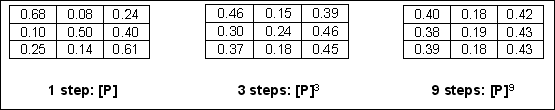 Loss of influence of the original states when the number of step increases.