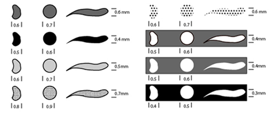 Minimal dimensions for choroplethic maps